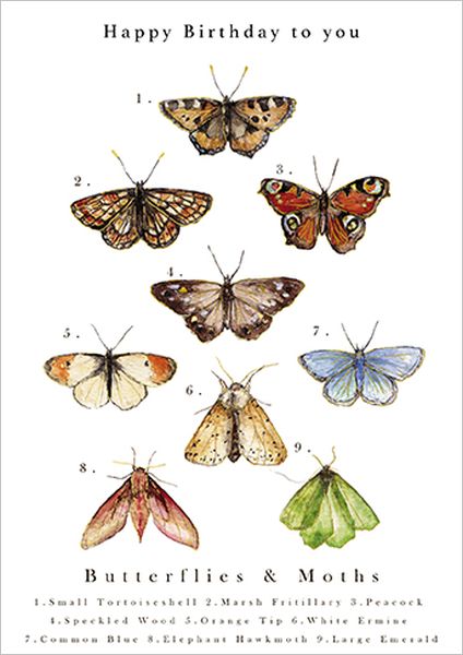 [GB-C-JC0007] Foil Card-Butterfly Chart