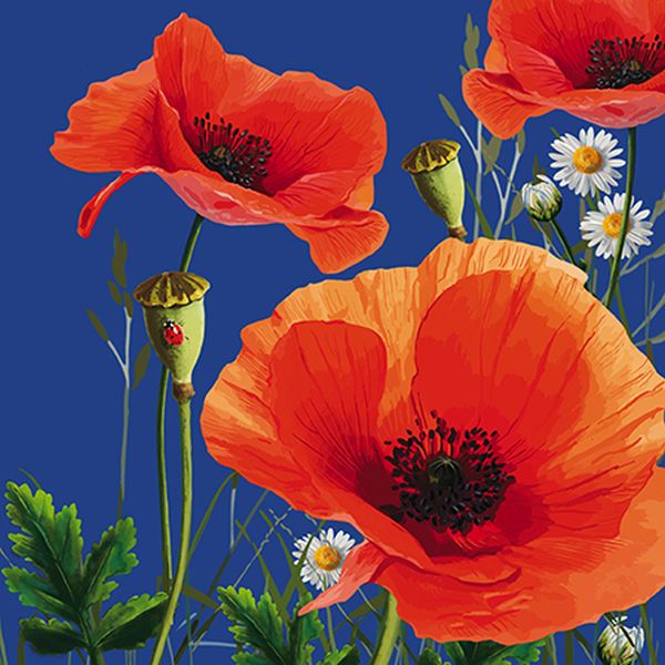 [GB-C-BOT110010] Embossed Card-Poppies