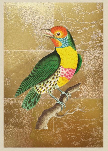 [OD-C-NW11989] Foil Card-Lemon Throated Barbet
