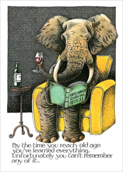 [SI-C-019] Card-Elephant