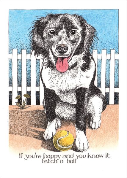 [SI-C-029] Card-Fetch A Ball