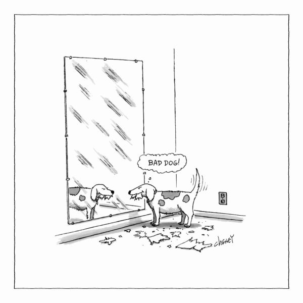 [NY-LMA-HA076] Hard Magnet-Bad Dog