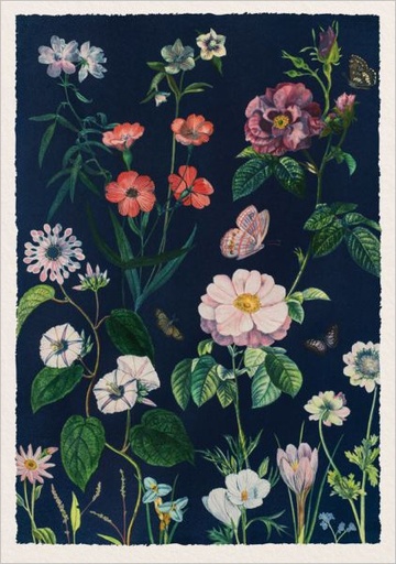 [OD-C-JWB13445] Foil Card-Roses and Wildflowers